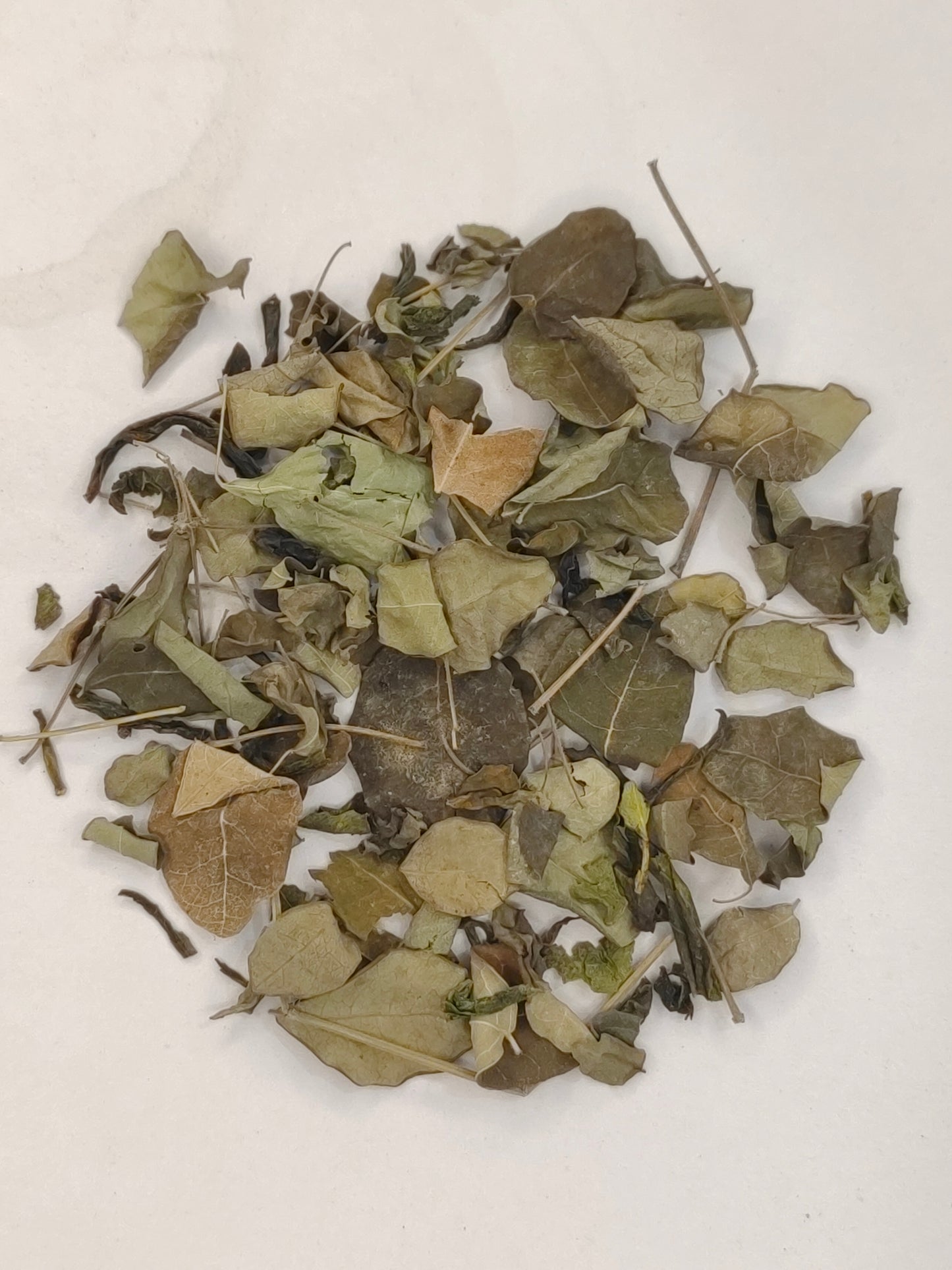 Moringa Tea - Boost Energy & Immunity