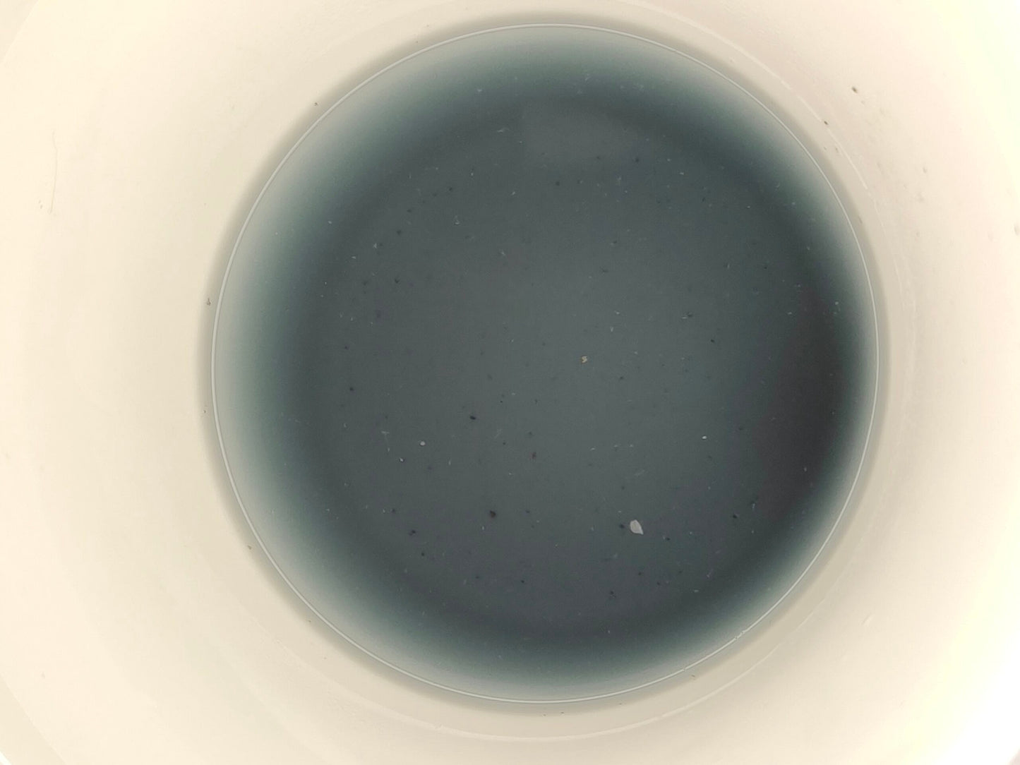 Blue Pea Green Tea - Mind & Vision - Teagritty
