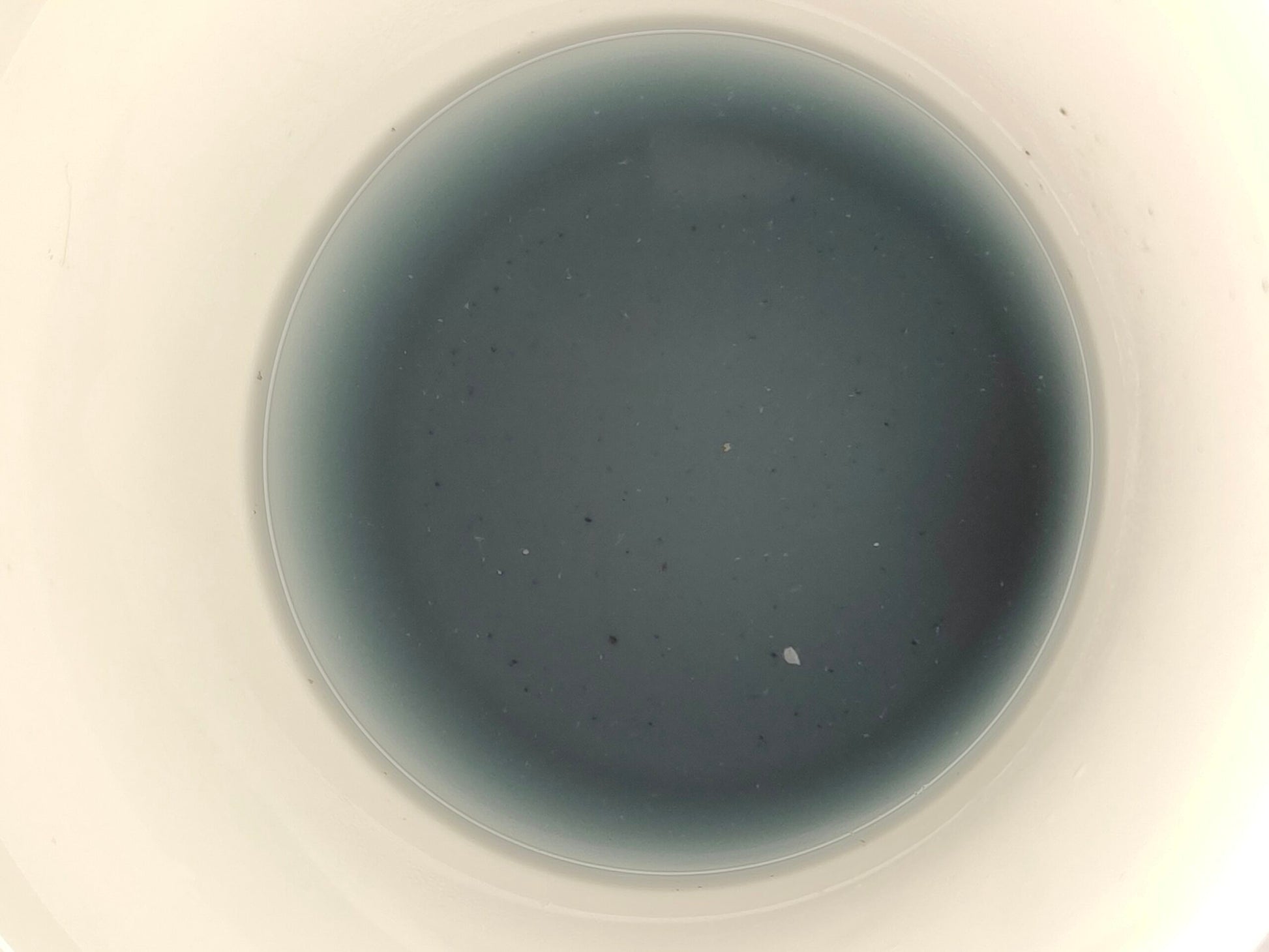 Blue Pea Green Tea - Mind & Vision - Teagritty